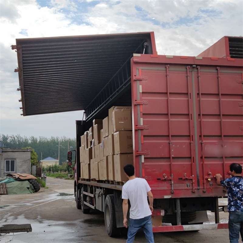 安国市扎囊县：物流专线的高效货运之旅