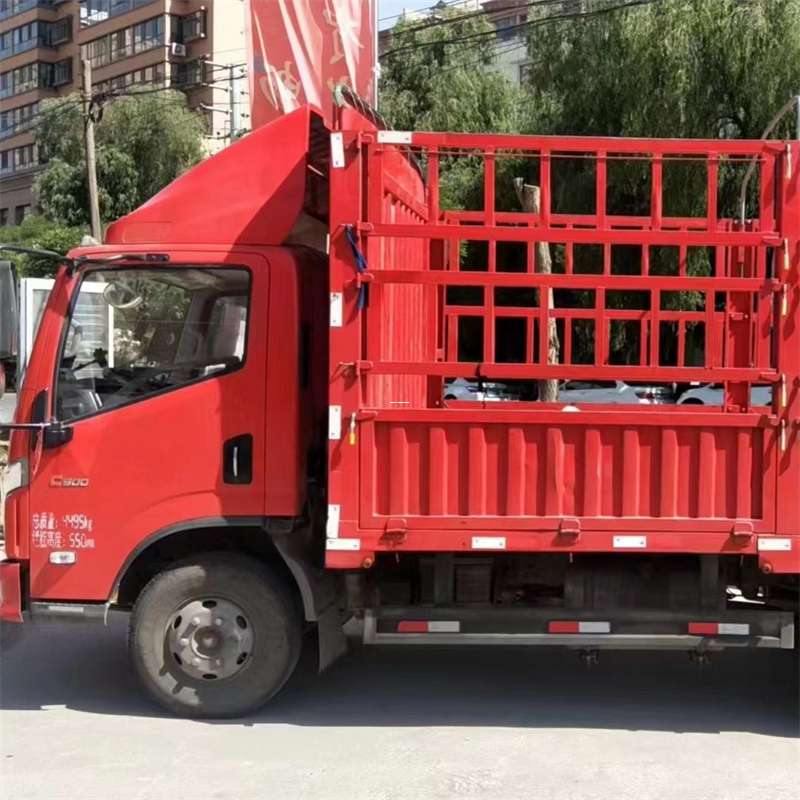 安国市延安市物流专线：多元货运服务的精彩画卷